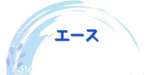 アプリコソフトウェア株式会社