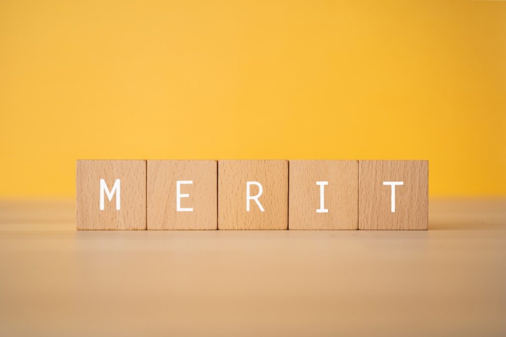 merit_積み木